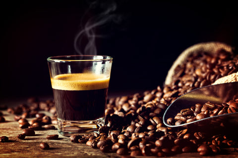Colombian Supremo 1lb Medium Roast Coffee - Palm Bites® - Specialty Coffee -