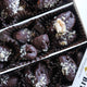 One Bite | Walnut Palm Bites - Palm Bites® - Chocolate Dates -