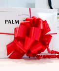 Ribbon - Palm Bites® - Gift Essentials - Red
